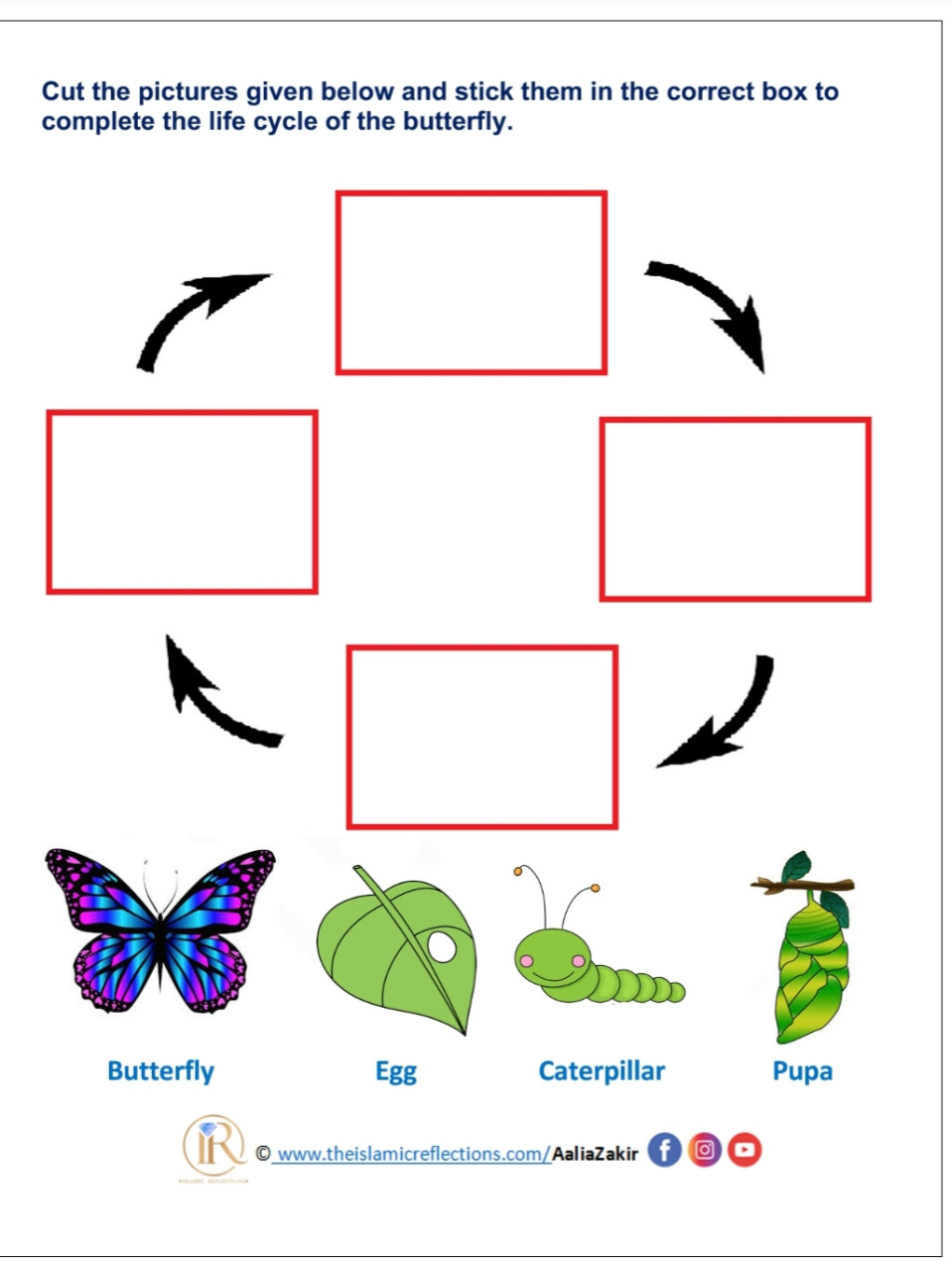 Life cycle of a butterfly - Islamic Reflections Pertaining To Butterfly Life Cycle Worksheet 2