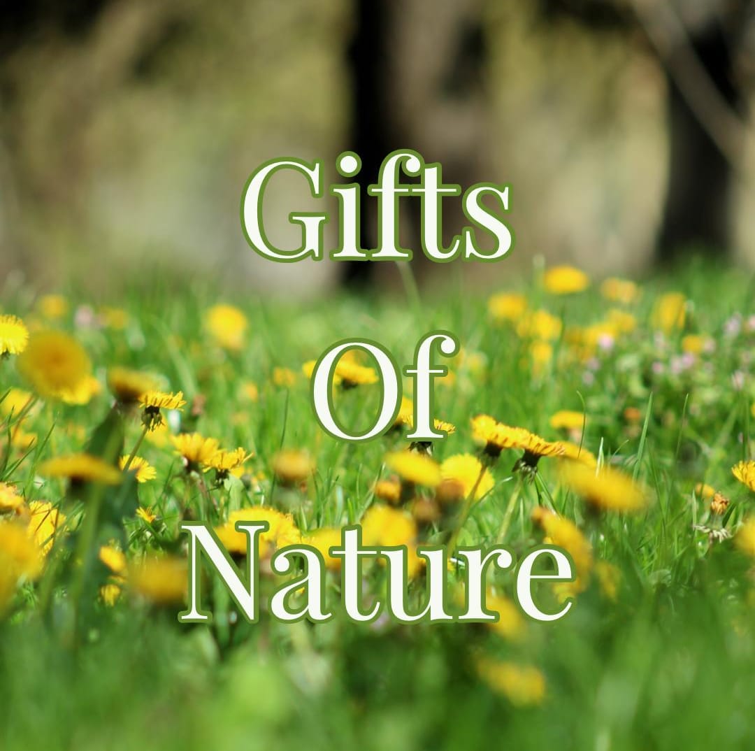 Poetry Archives Page 2 of 11 Islamic Reflections