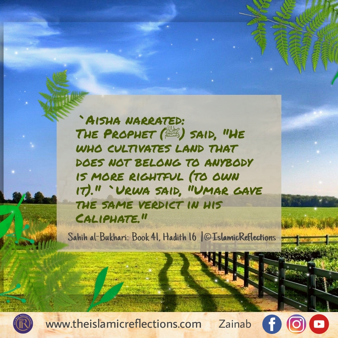 Hadith on Land Cultivation - Reflections