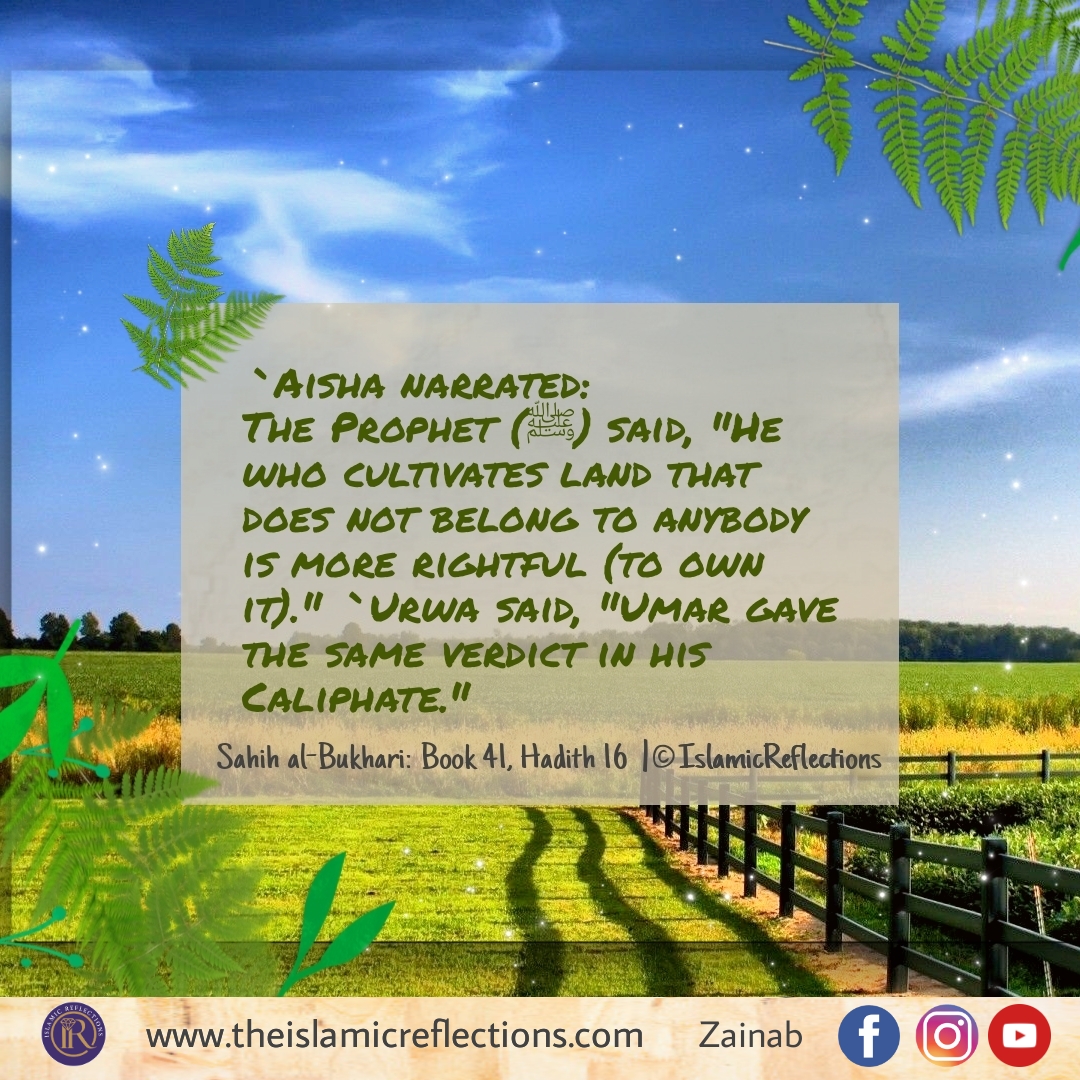 Hadith on Land Cultivation Islamic Reflections